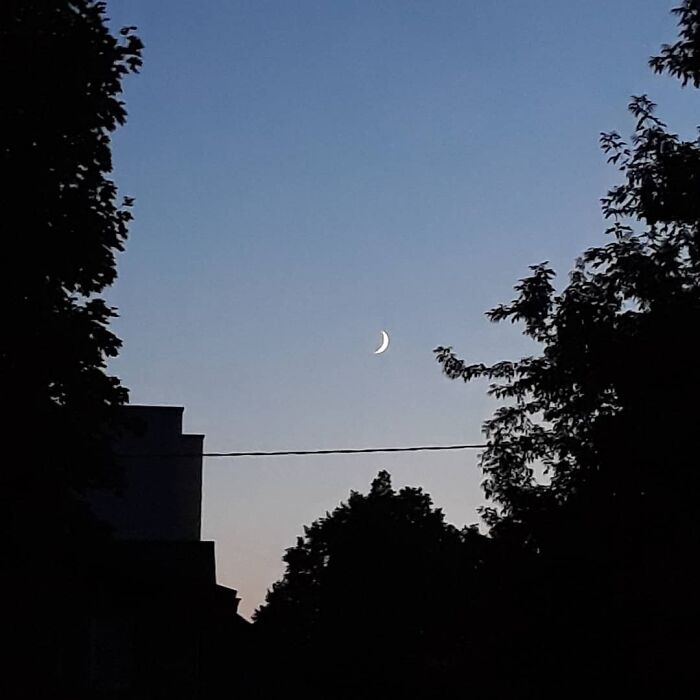 With A Little Tint Of Yellow