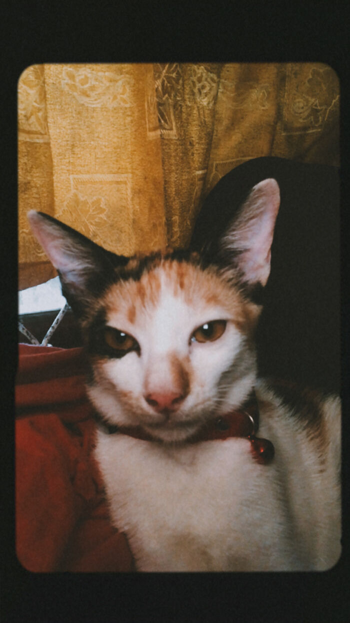 Feeling Cute Today (Will Delete Later)