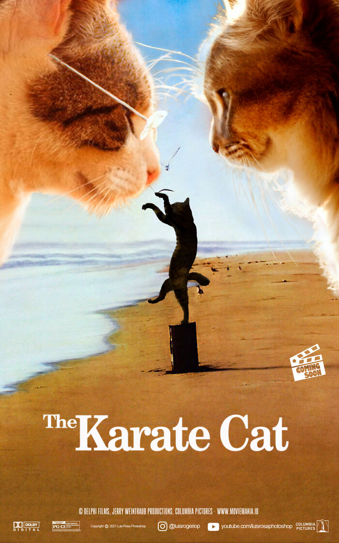 The Karate Cat