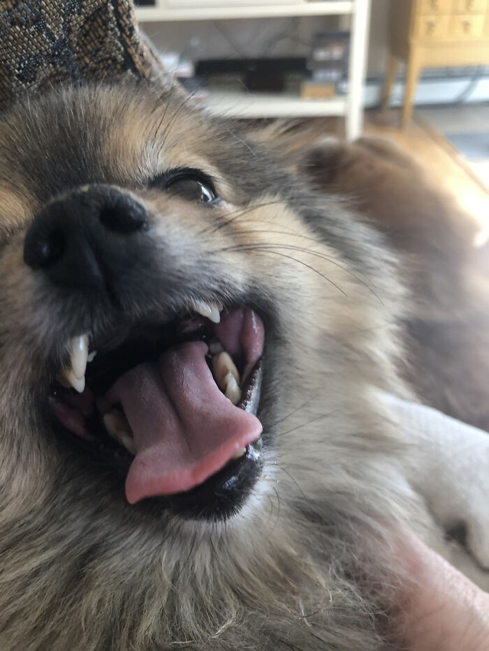 Because This Is The Way All My Selfies Come Out Too…