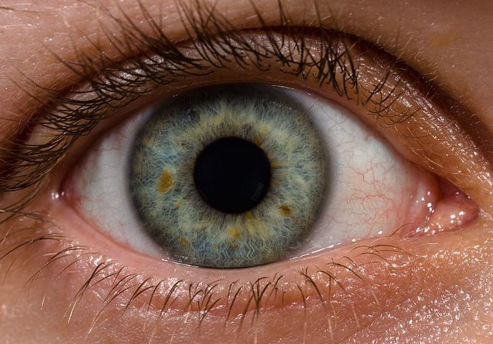 Person Invites You To Learn 'How Rare Is Your Body?' In His Viral Series