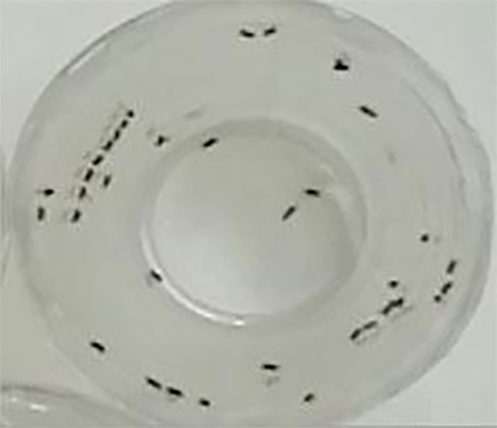 30 ‘Today I Learned’ Facts That Show It’s Never Too Late To Learn (New Pics)