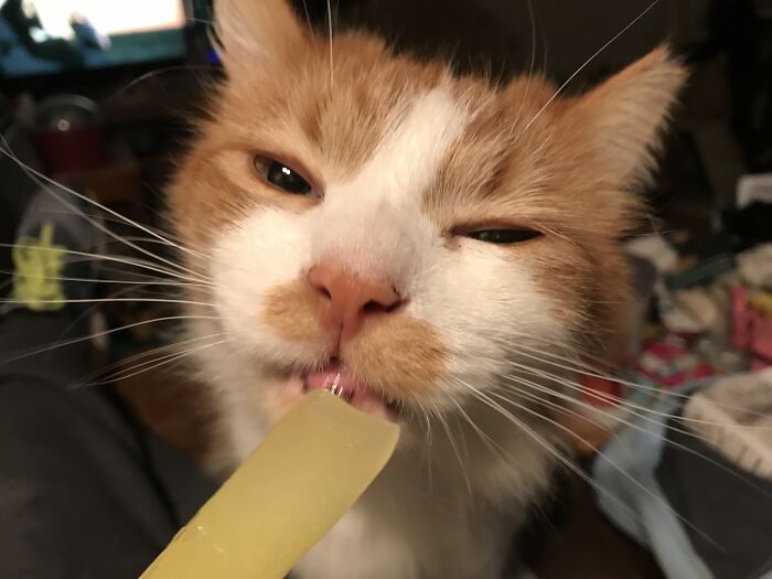 Jasper Likes Me To Share Ice Lollies