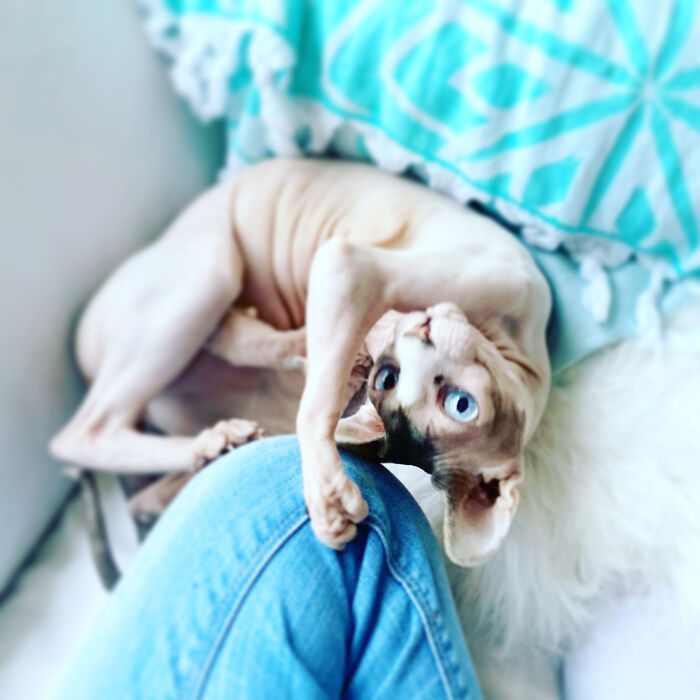 Fooling Around. Tony Pepperoni