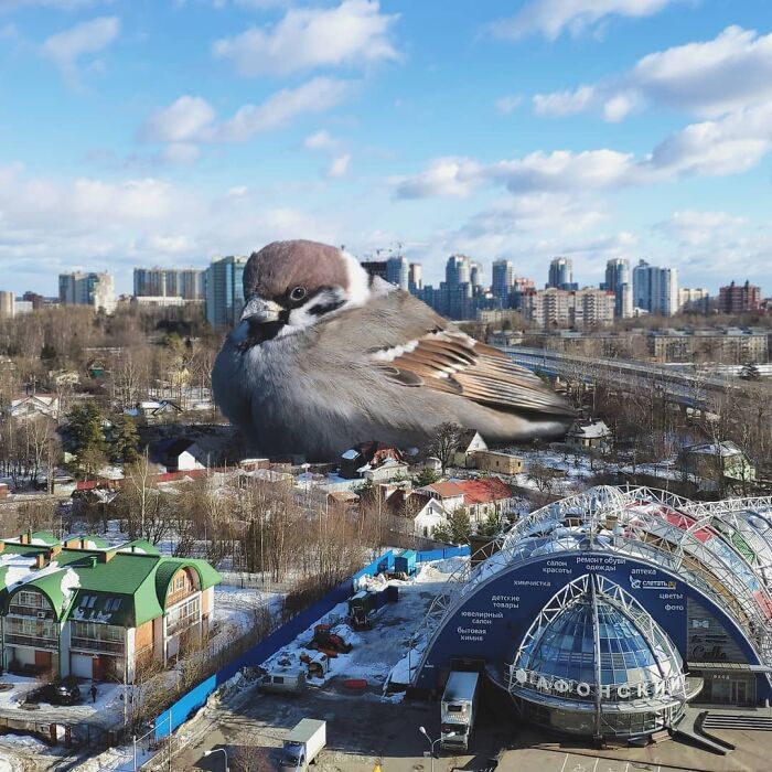 Fantasy-Creatures-Vadim-Solovyev-Instagram