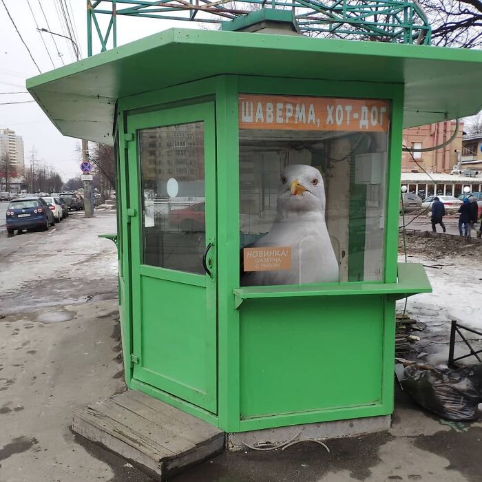 Fantasy-Creatures-Vadim-Solovyev-Instagram