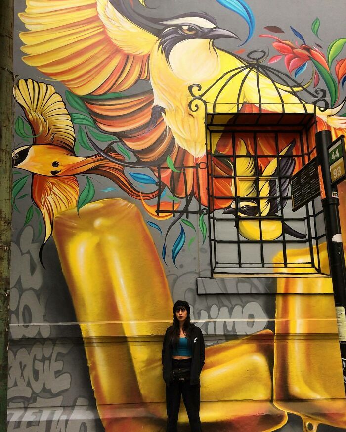 Murals-Wildlife-Instagram-Fio-Silva