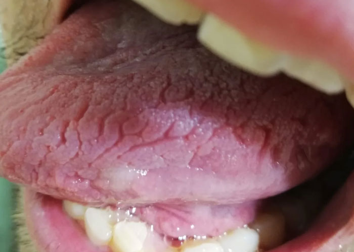 Person Invites You To Learn 'How Rare Is Your Body?' In His Viral Series