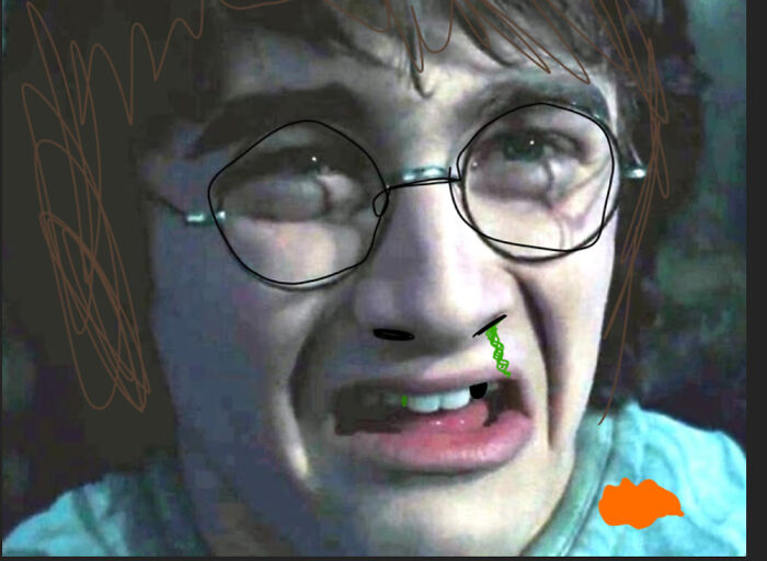 Nasty Potter