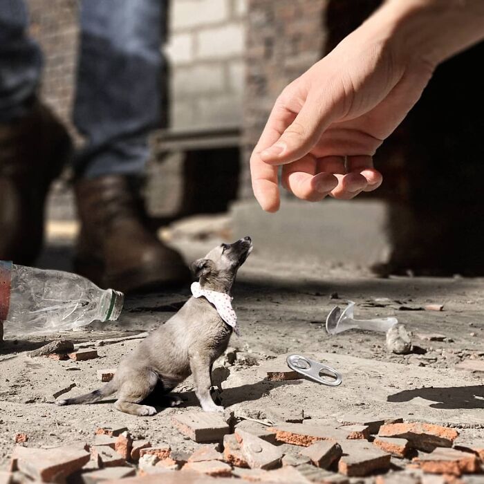 Fantasy-Creatures-Vadim-Solovyev-Instagram