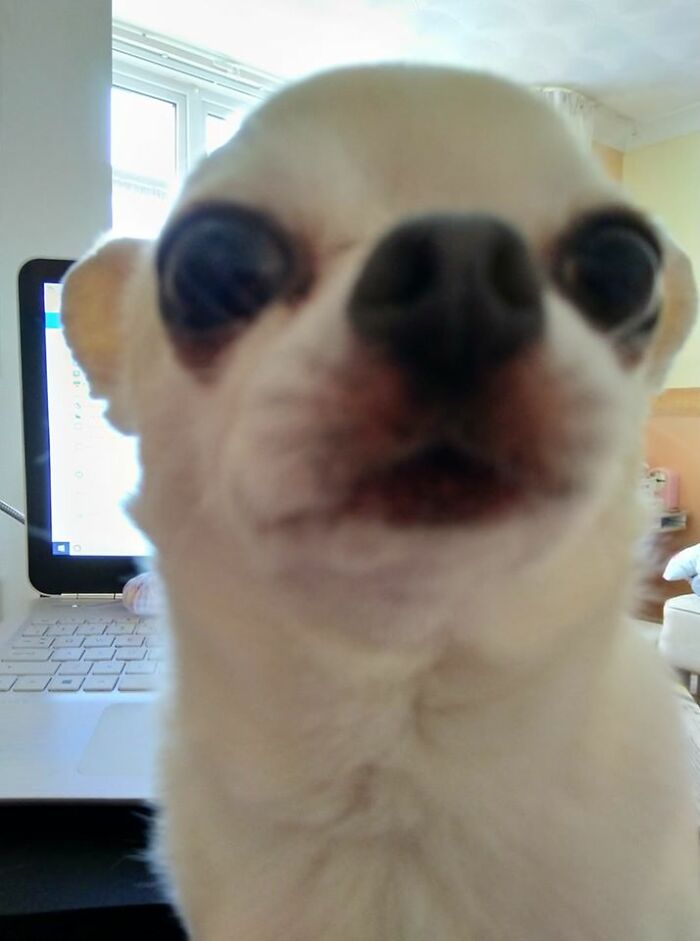 Figgis Wanted His Photo Taken.