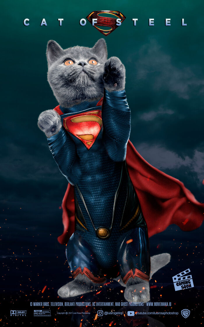 Cat Of Steel