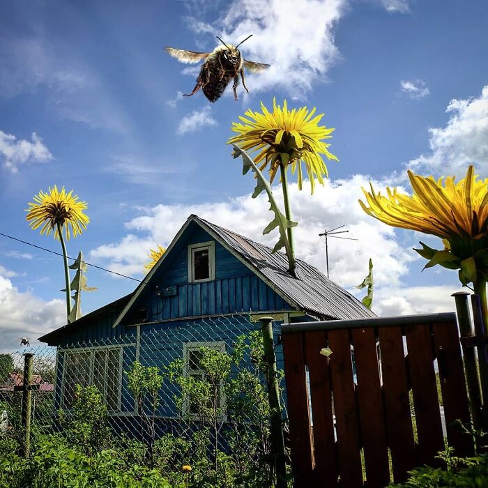 Fantasy-Creatures-Vadim-Solovyev-Instagram