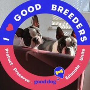 lindylu_amann avatar