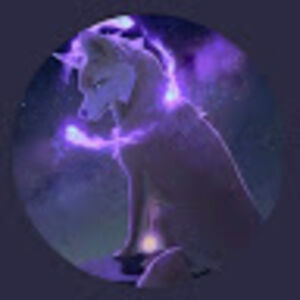 enderwolfgamez avatar