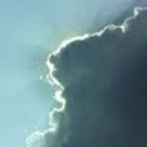 heatherdonald avatar