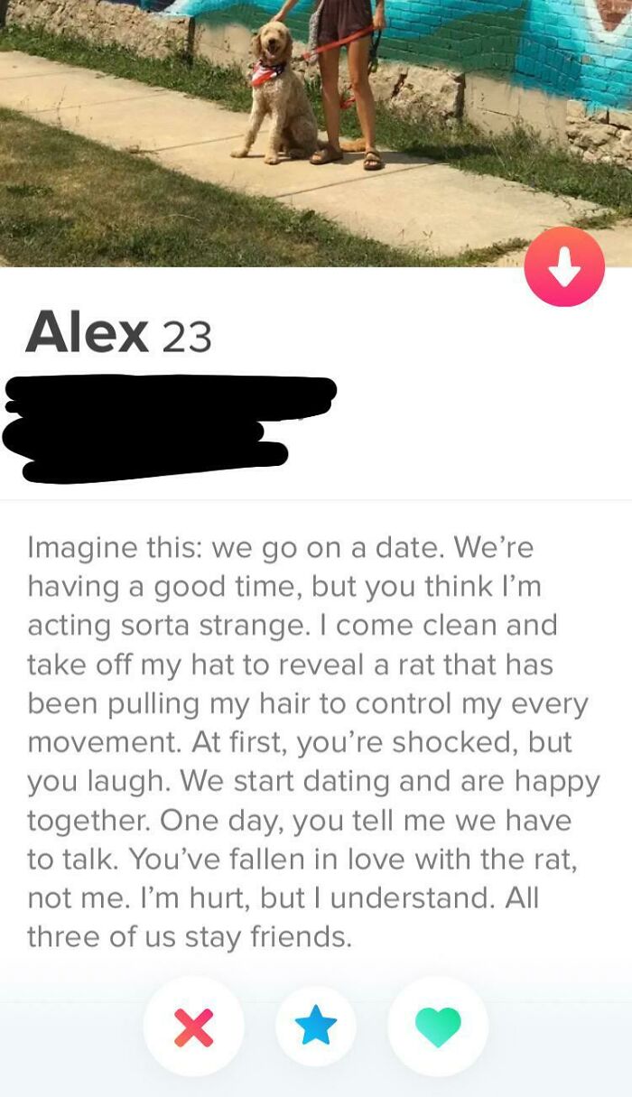 A Roller Coaster Of A Bio