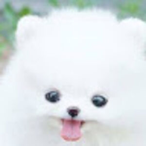 kaleypalatinus avatar