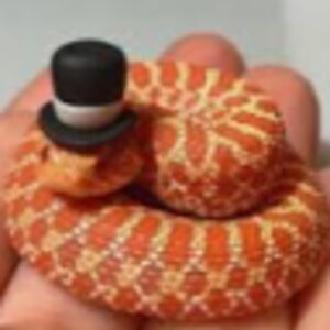 jessicatillery avatar