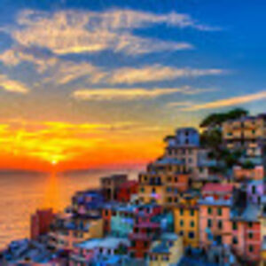 dianalevinson avatar