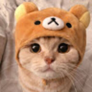 yashistampedes avatar