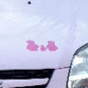 ceciliabragg_1 avatar