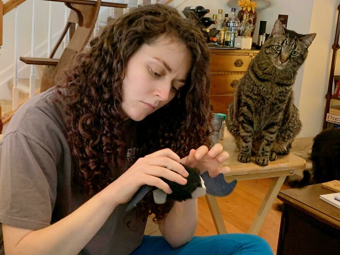 Today, I Spent An Hour Fixing Newton's Favorite Toys. He Hasn't Played With Either Since