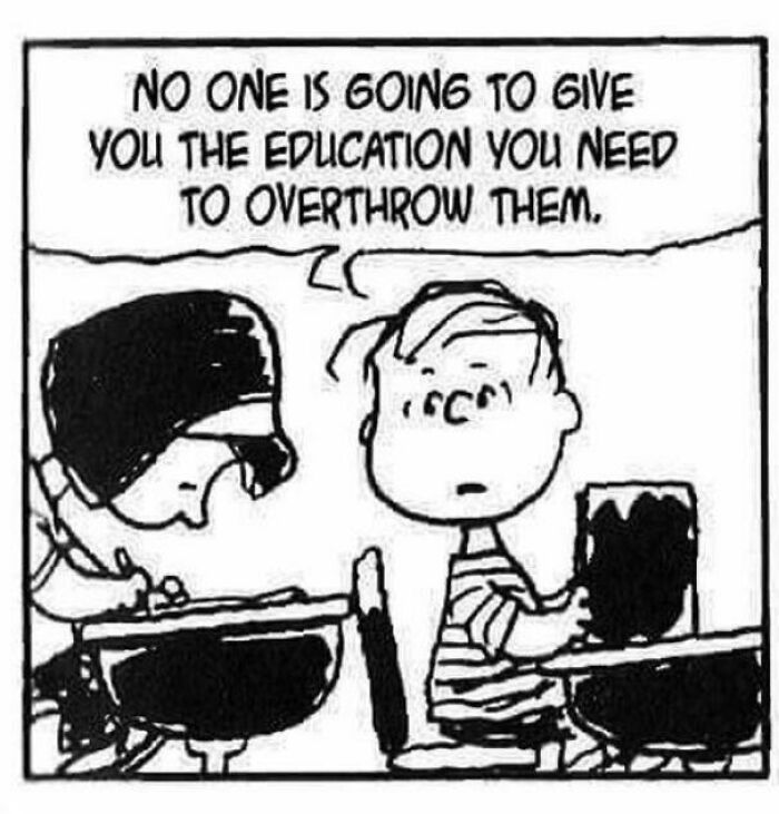 You Said It, Linus!