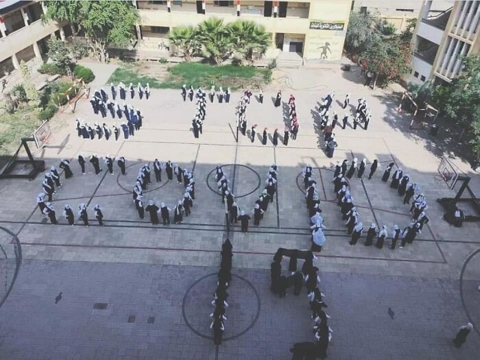 To Fight The Pandemic