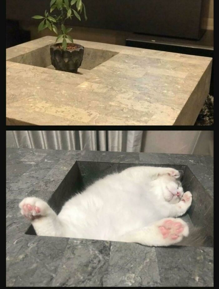 To Have Stylish Elegant Home