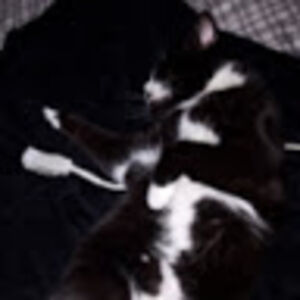 breannemertz_1 avatar