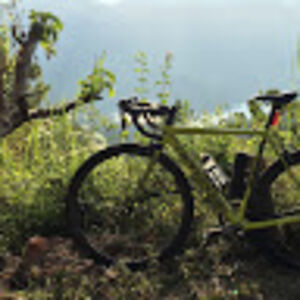 cordilleracycling avatar