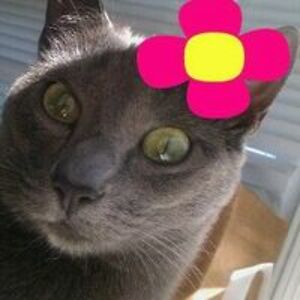 mexi_freckles avatar