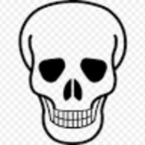skullwarrior avatar