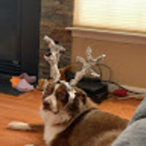 Mytycaitlin@yahoo.com