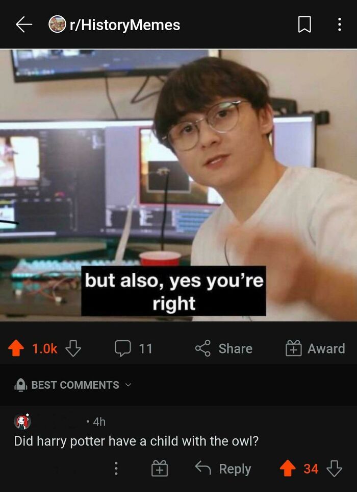 Harry Potter Owl Looking Ass