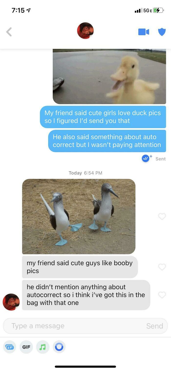 Tinder chat screenshot of people exchanging pictures of ducks 