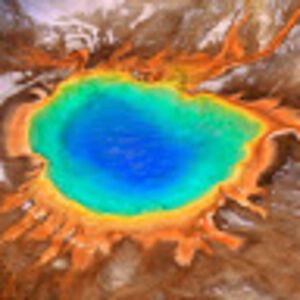 lindseykimball avatar