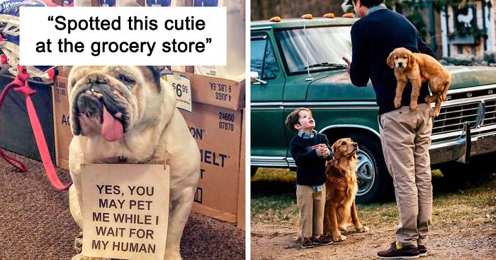 50 Uplifting Dog Posts To Make Your Day Better (New Pics)