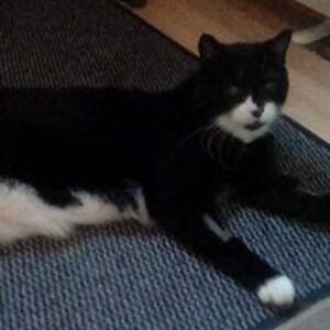 andrew_harlick avatar