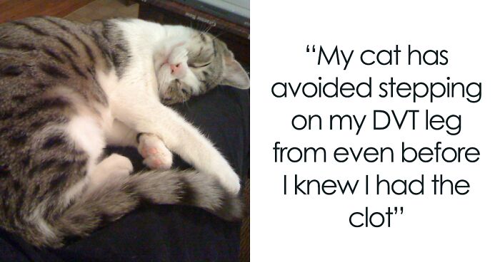 30 Incredibly Kind Acts Pets Did For Their Owners That Prove A Pet’s Love Has No Limits