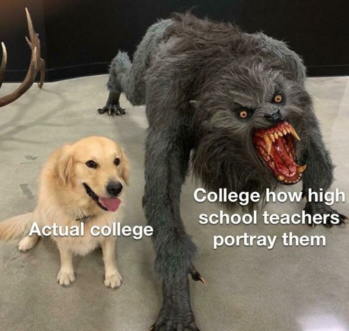 College Is So Much Harder Than This -Every High School Teacher Ever