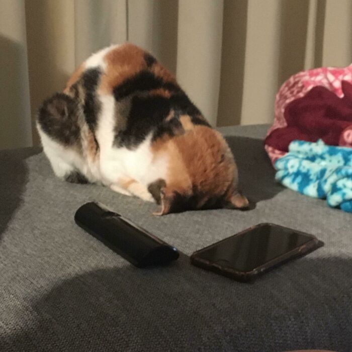 Umm... That Can’t Be Comfortable