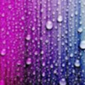 brooklyneverhart avatar