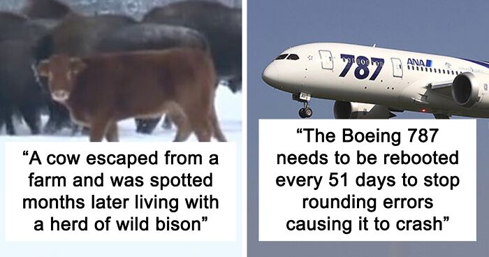 30 ‘Today I Learned’ Facts That Show It’s Never Too Late To Learn (New Pics)