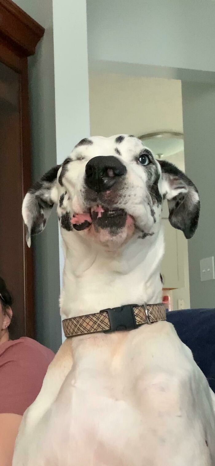 Mid-Sneeze On The Day Of Her 9th Birthday