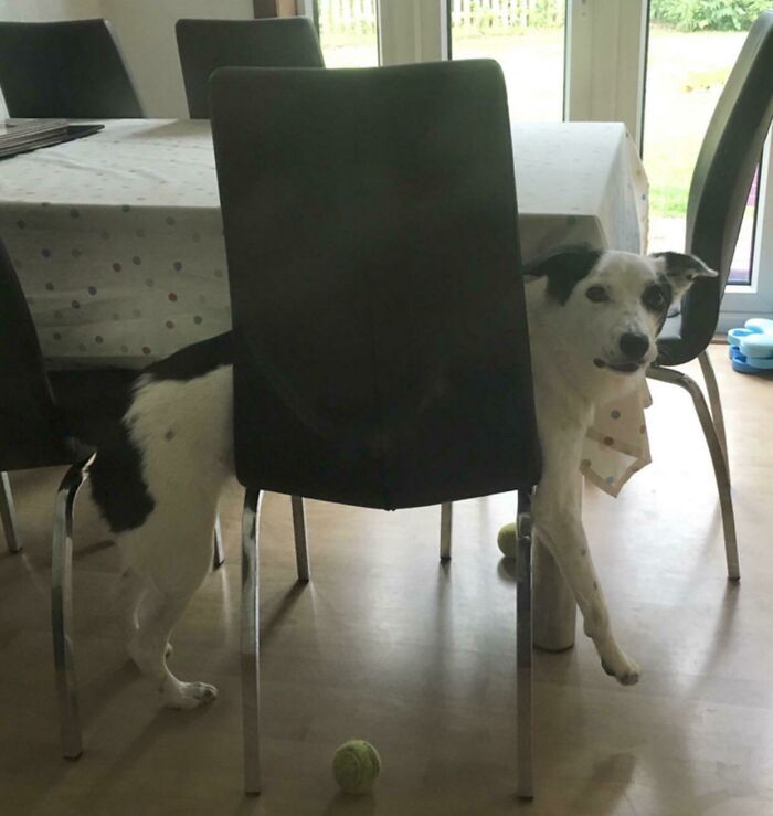 Our Boy Had So Many Derp Moments. Rip Hamish