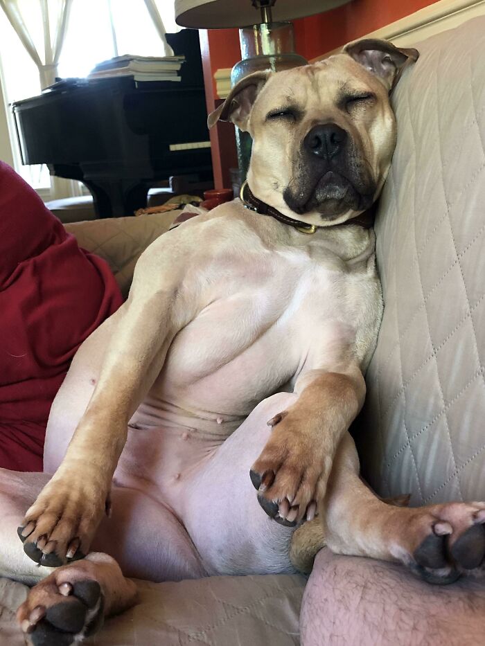 She Fell Asleep Like This