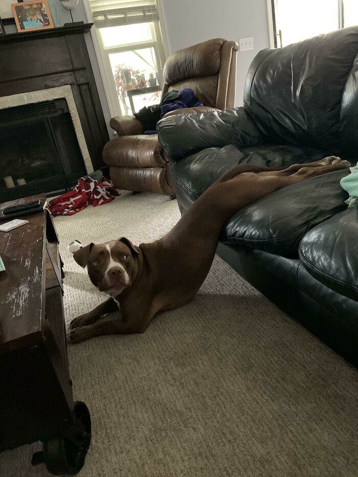 Not Stuck, Just A Big Derp