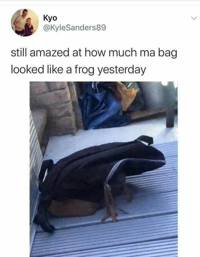 Frog